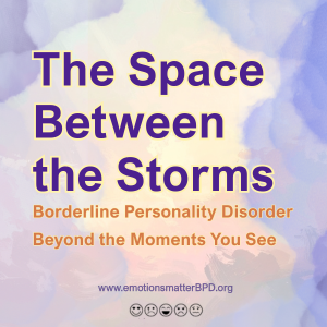 The Space Between Storms: Borderline Personality Disorder Beyond the Moments You See logo