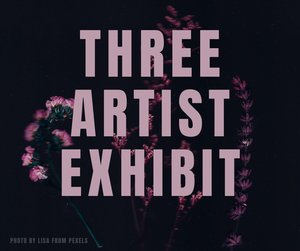 Three Artist Photography Exhibition logo